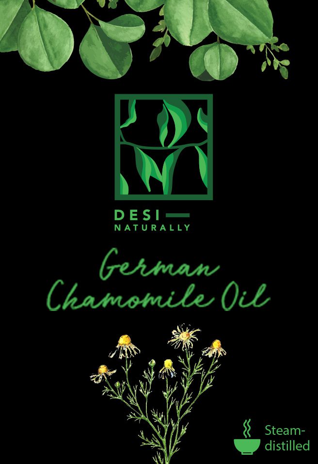 german-chamomile-oil